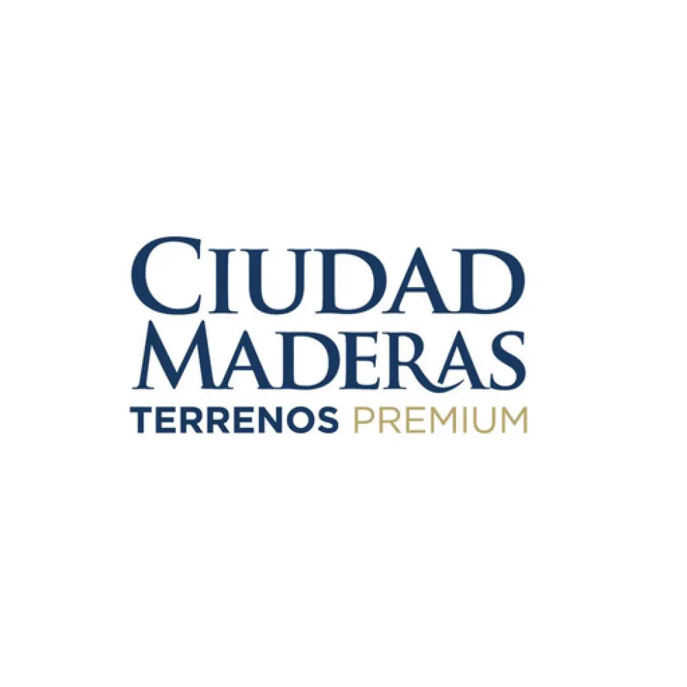 Servicios de limpieza profesional y mantenimiento en México – SILYMPSA, especialistas en higiene, desinfección y mantenimiento de espacios.